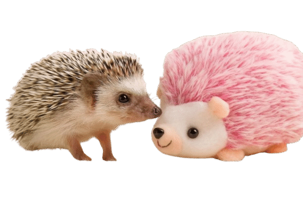 Peluche de erizo